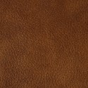 Vintage Tan leather swatch