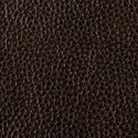 Oak leather swatch
