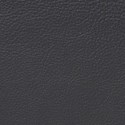 Charcoal leather swatch