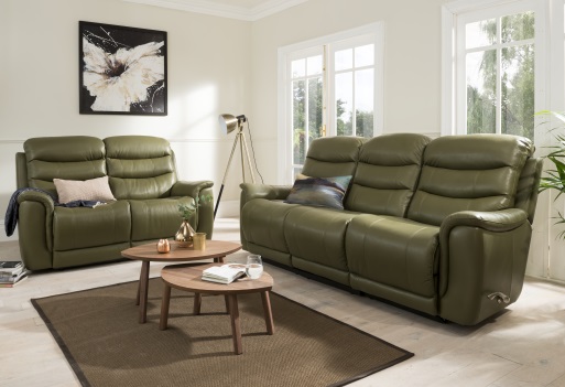 Five reasons to choose a leather sofa image